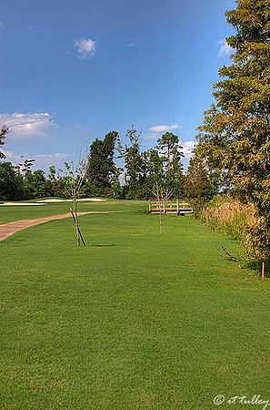 Gray Plantation #4