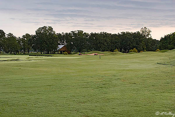 Atchafalaya #4