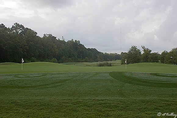 Atchafalaya Practice Green