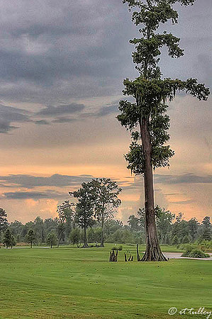 TPC Louisiana #13