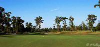 TPC Louisiana #2