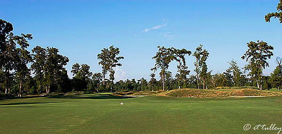 TPC Louisiana #2