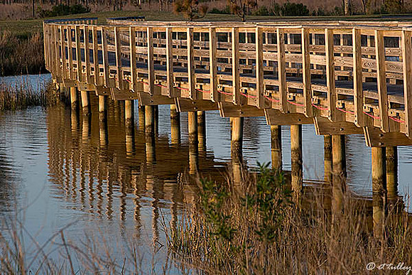 Gray Plantation #6 Bridge