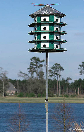 Gray Plantation Birdhouse