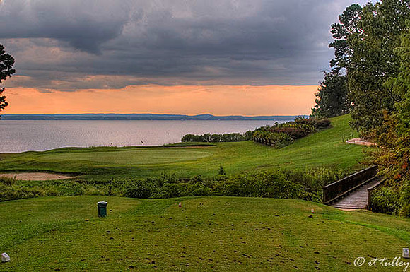 Cypress Bend #17