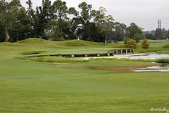 Atchafalaya #13