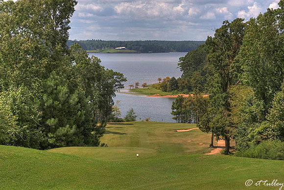 Cypress Bend #16