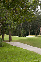 Atchafalaya #2
