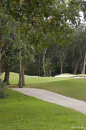 Atchafalaya #2