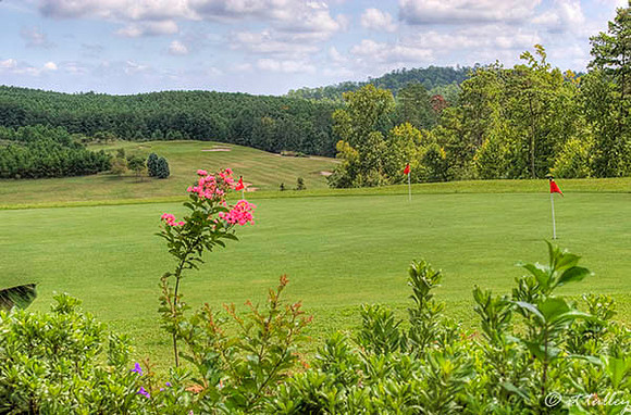 Cypress Bend Practice Putting Green