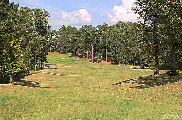 Cypress Bend #15
