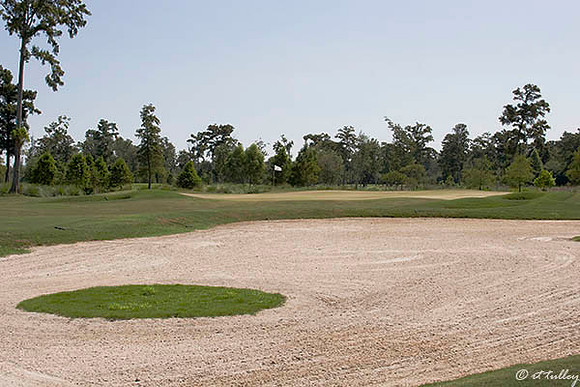 TPC Louisiana #6