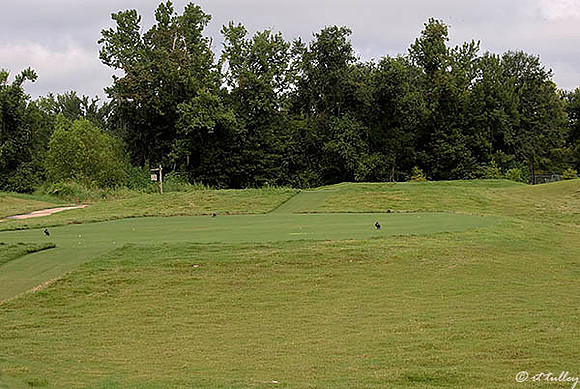 Atchafalaya #18 Tees