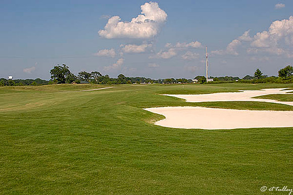 the Wetlands #15