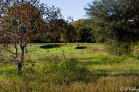 Tamahka Trails #3