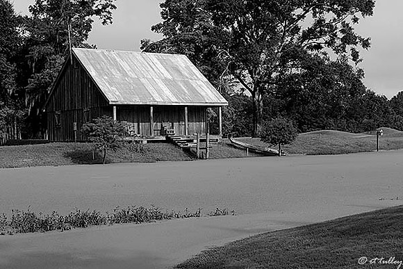 Atchafalaya Cajun Shack, B&W