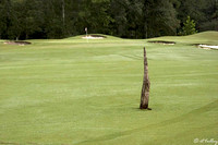 Atchafalaya Cypress Knee yardage marker