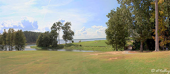 Cypress Bend #16