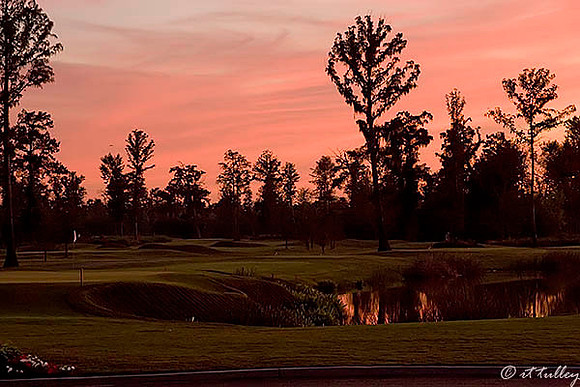 TPC Louisiana #9