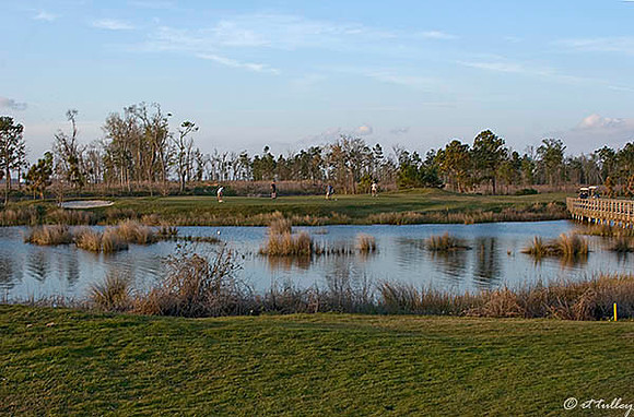 Gray Plantation #6