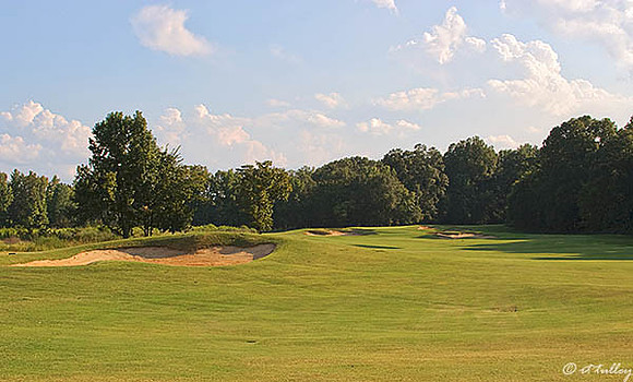 Black Bear GC #17