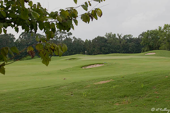 Atchafalaya #17