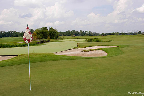 Atchafalaya #9, #18 greens