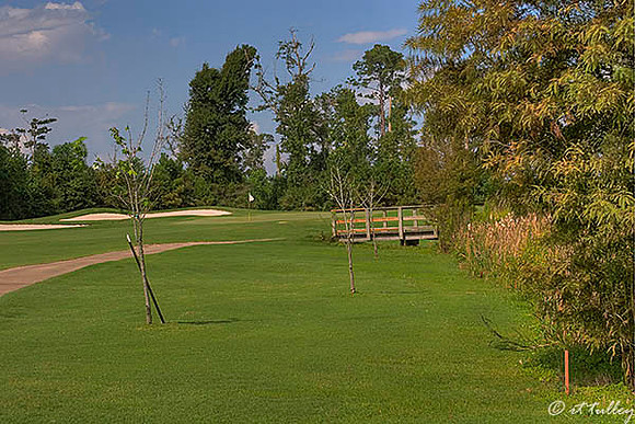 Gray Plantation #4