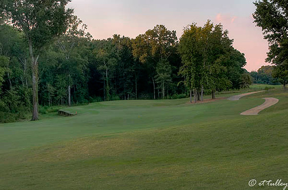 Black Bear GC #8