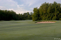 Atchafalaya #3