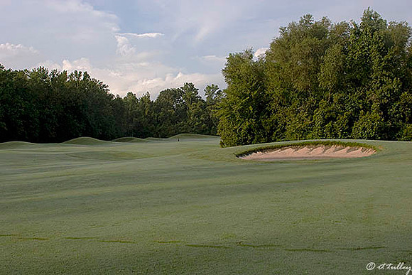Atchafalaya #3