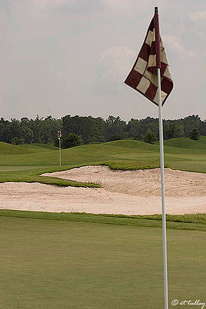 Atchafalaya #18 and #9 Greens