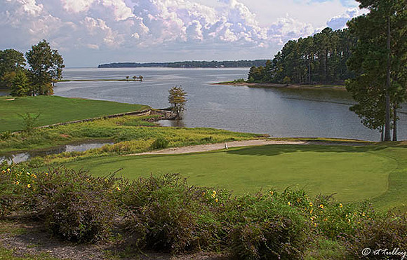 Cypress Bend #17