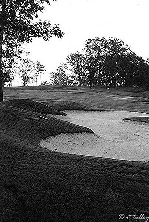 Cypress Bend #18