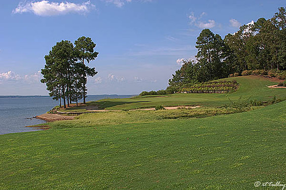 Cypress Bend #17