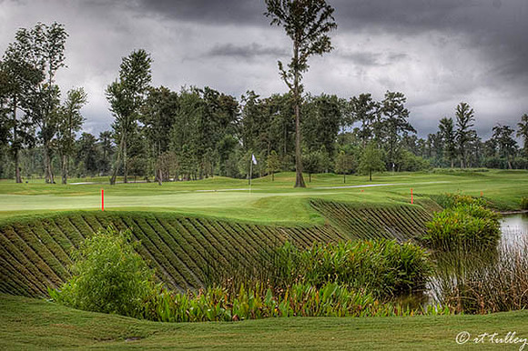 TPC Louisiana #9