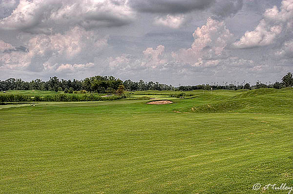 Atchafalaya #9
