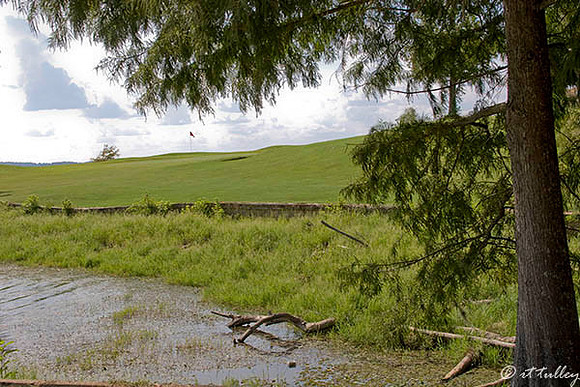 Cypress Bend #16