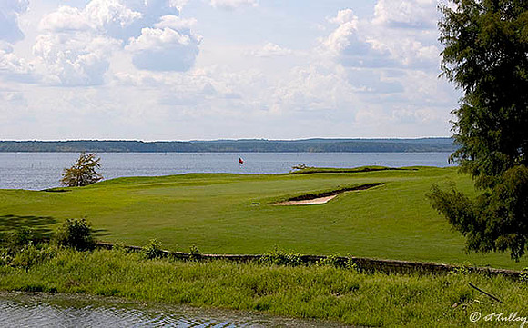 Cypress Bend #16
