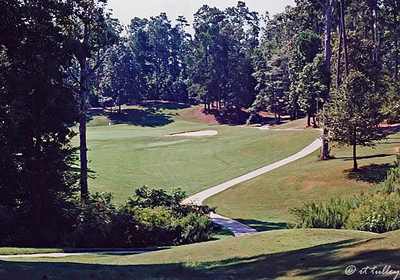 Cypress Bend #13