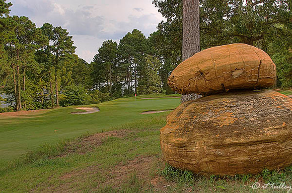Cypress Bend #7
