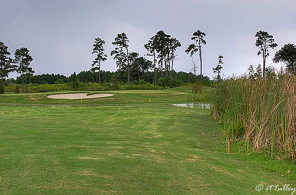 Gray Plantation #17