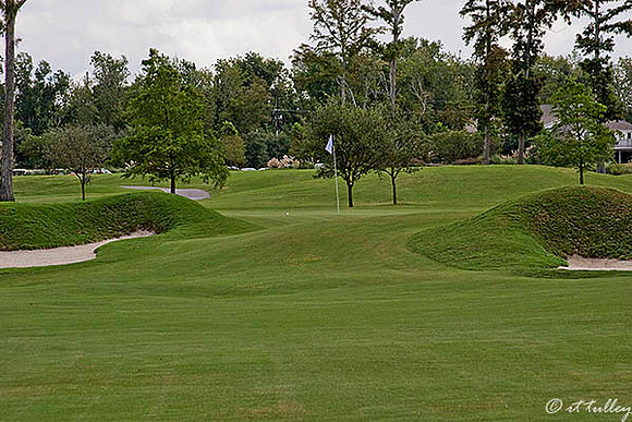 TPC Louisiana #8