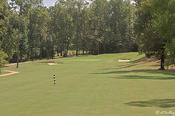 Cypress Bend #10