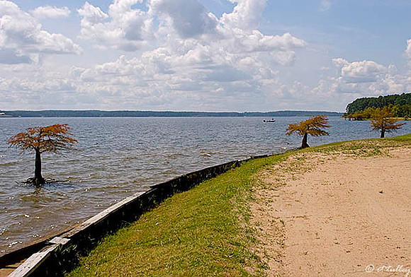 Cypress Bend - Toledo Bend