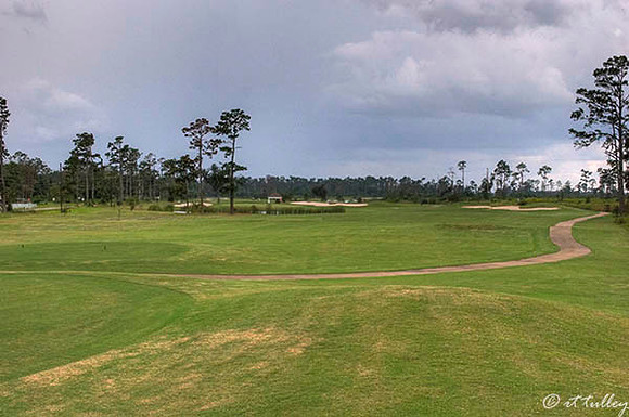 Gray Plantation #14
