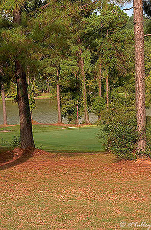 Cypress Bend #7
