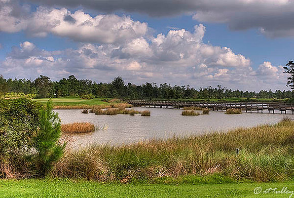 Gray Plantation #6