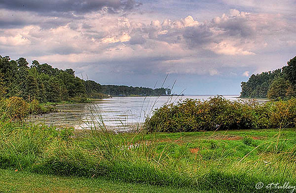 Cypress Bend #9