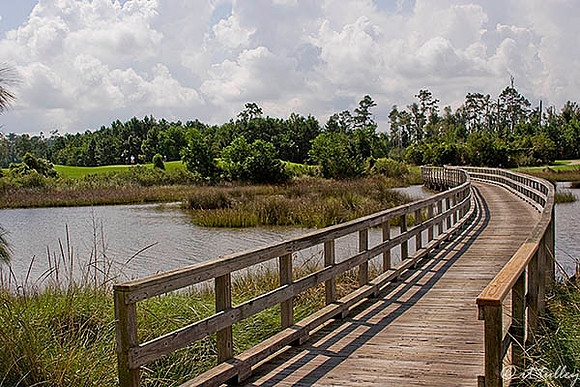 Gray Plantation #5